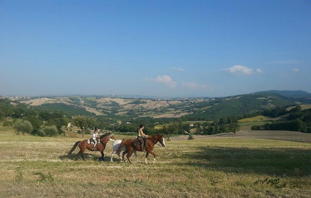Agriturismo Il Casale Pergola Esterno foto
